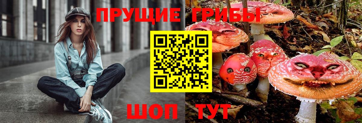 Реж  Псилоцибиновые грибы мицелий  Вход с VPN 